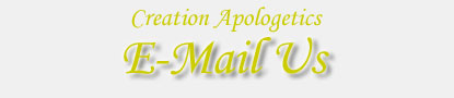 E-Mail Us